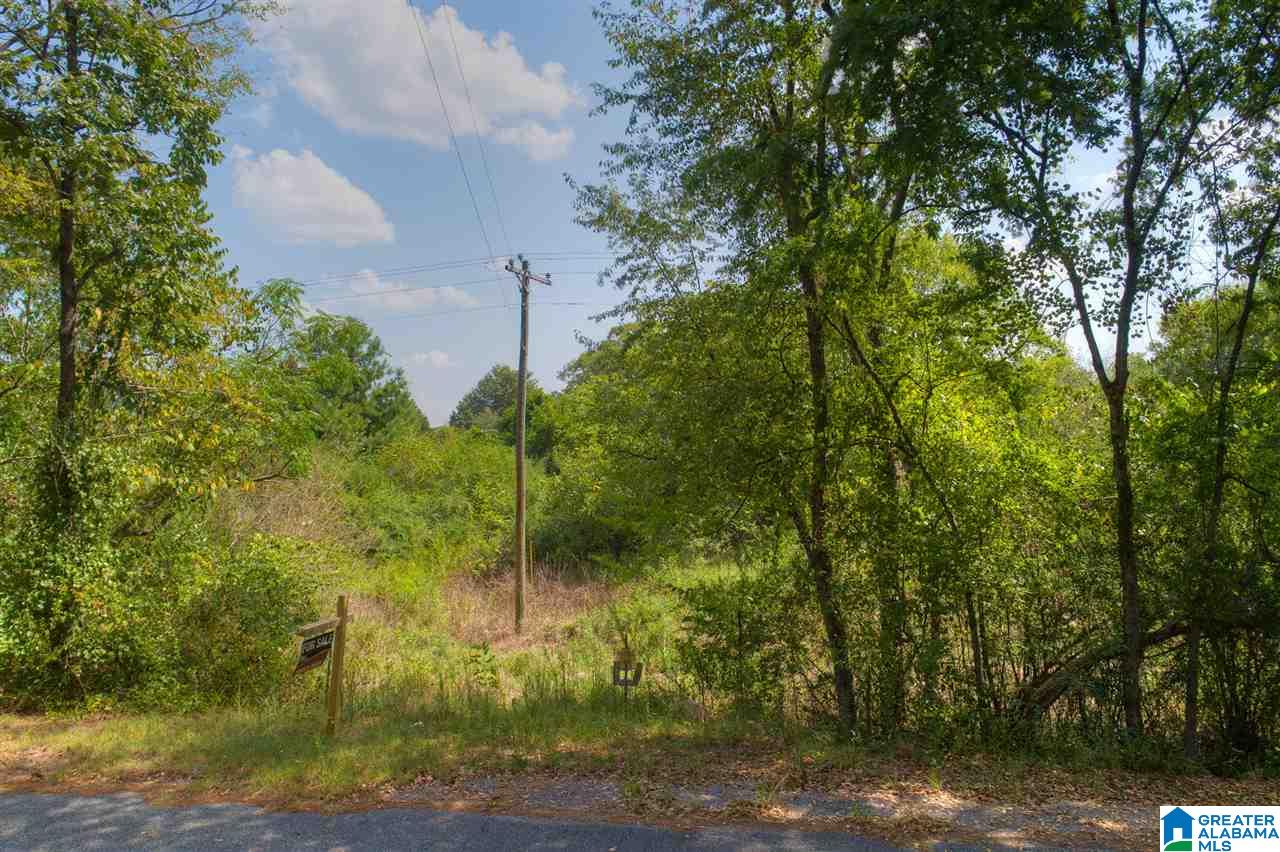 464 Old Georgia Circle Alpine, AL 35014 - Photo 2 of 11