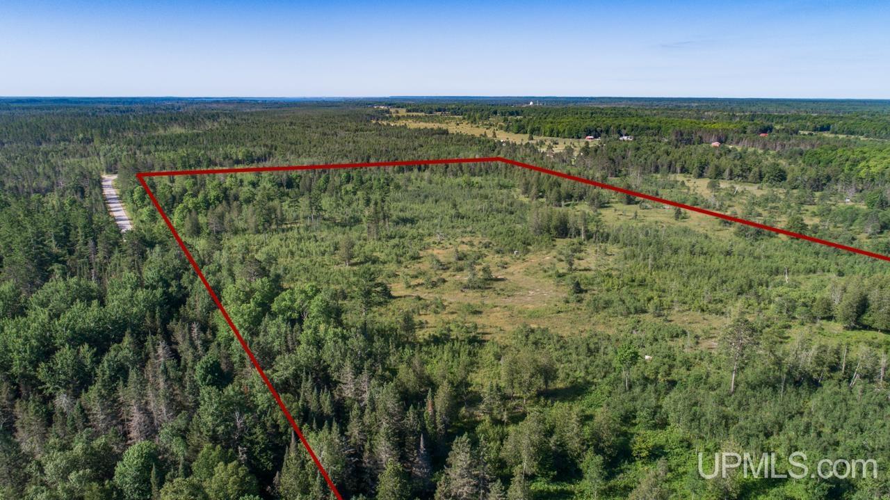 Tbd 80-acres 30th Road Rapid River, MI 49878 - Photo 4 of 17