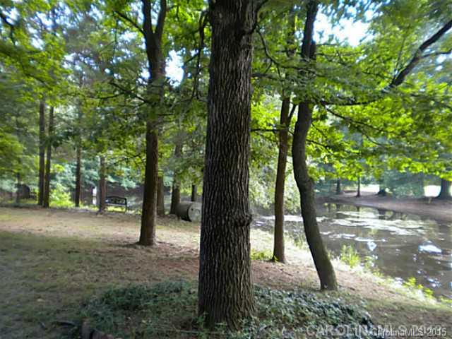 4604 Morgan Mill Road Monroe, NC 28110 - Photo 5 of 9 a view of backyard with tree