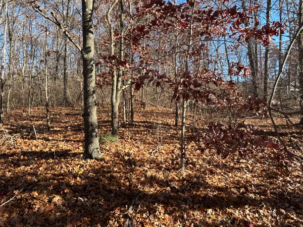 $120,000 | 10711 Mystic Hts Trail, Mattawan, MI 49071