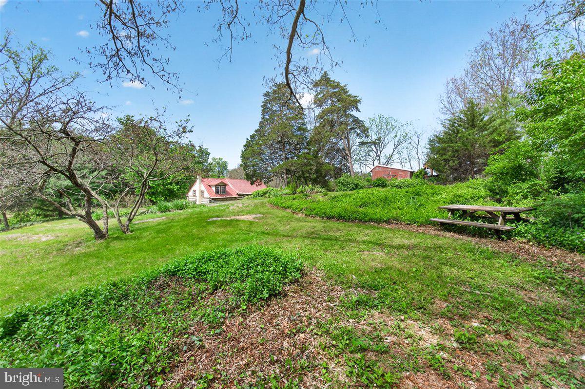 17848 Lappans Road Fairplay, MD 21733 - Photo 42 of 46 Eat your lunch while enjoying nature
