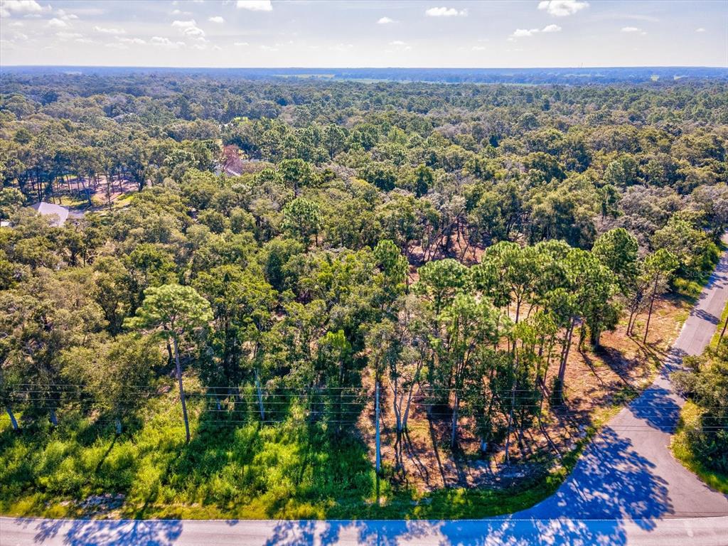 15504 Lenway Road Spring Hill, FL 34610 - Photo 17 of 17 Gallery Image 17