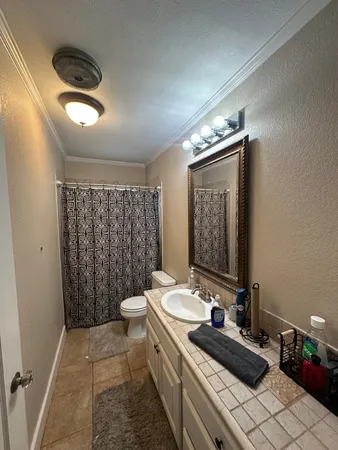 a bathroom with a double vanity sink toilet and a mirror