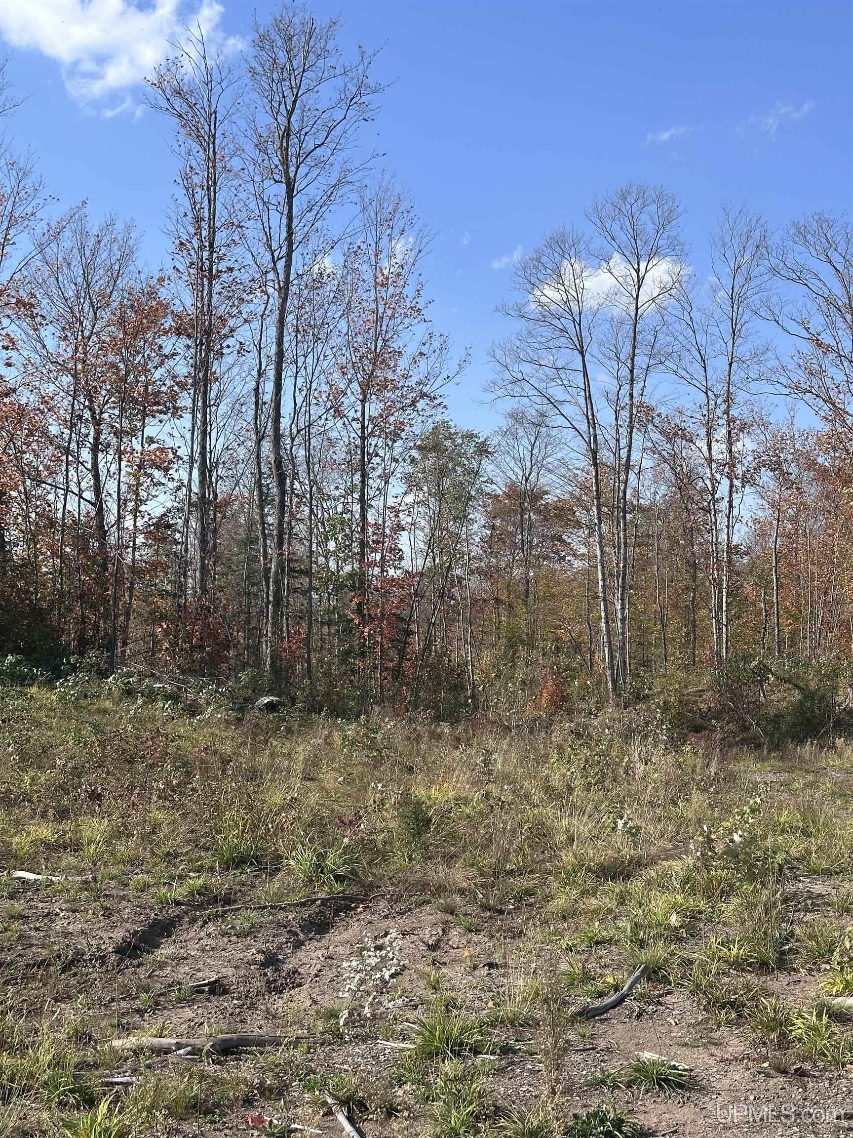 Tbd Co Rd 496 (b) Road, Unit PARCEL B Champion, MI 49814 - Photo 22 of 33