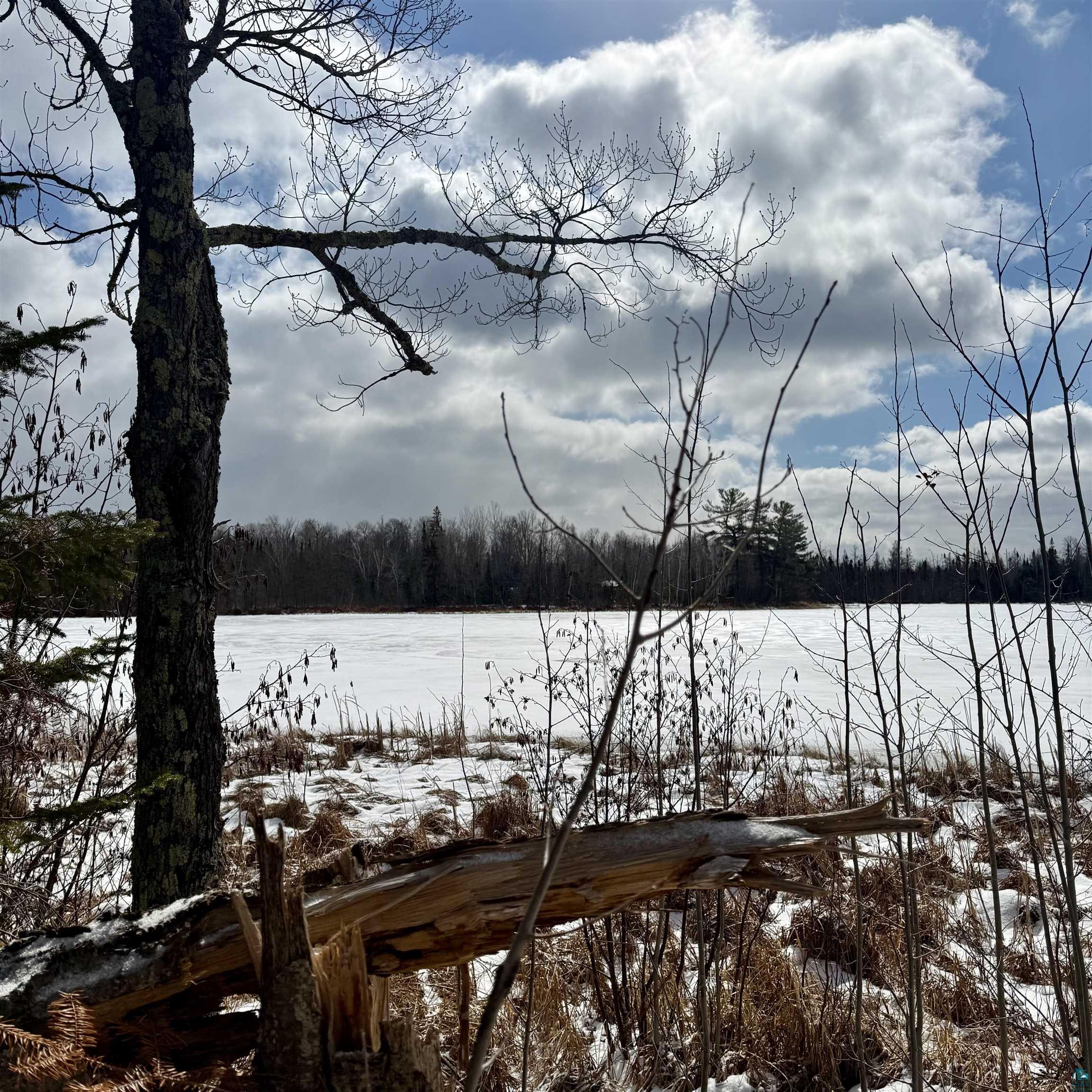 8157 East Stone Lake Road Forbes, MN 55738 - Photo 4 of 18