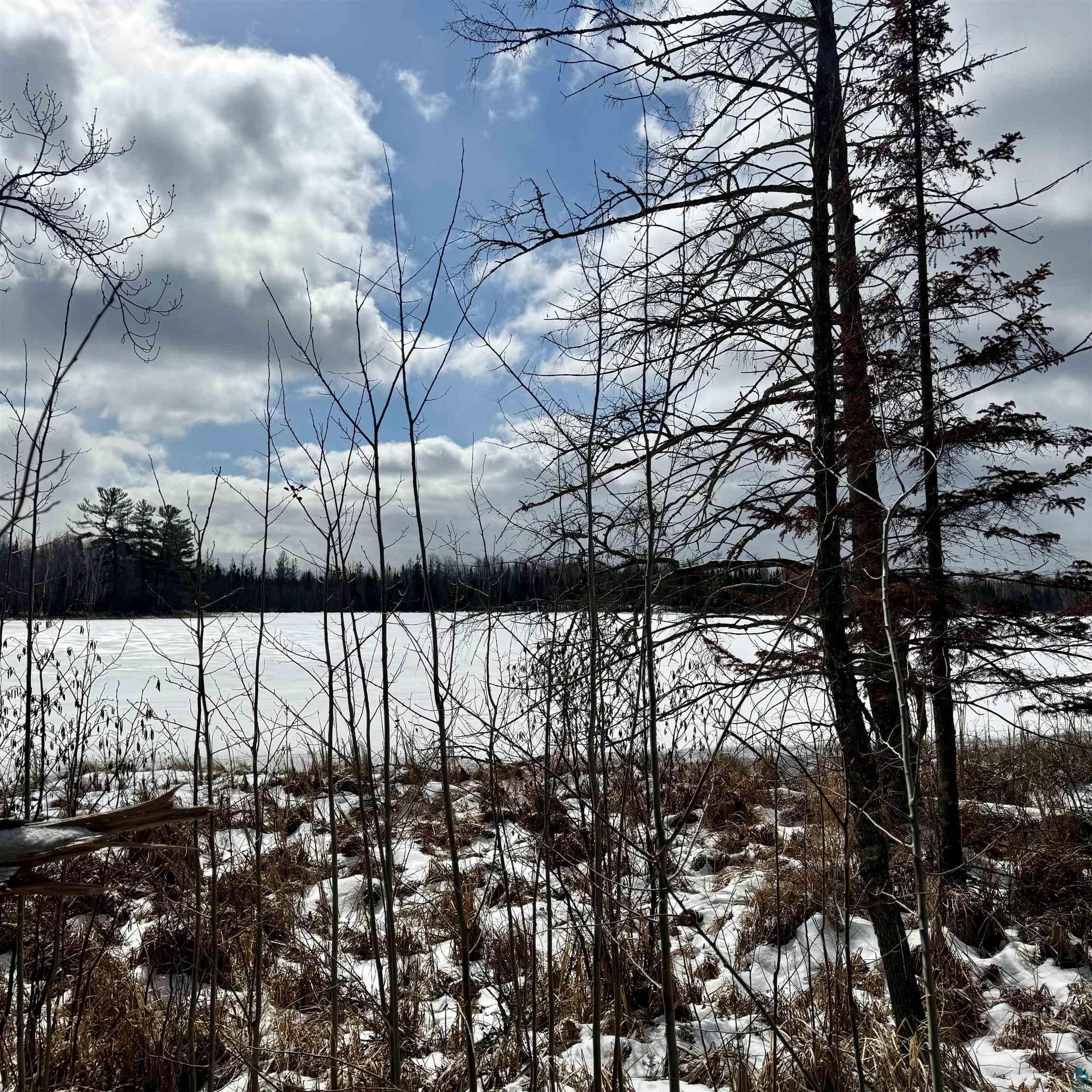 8157 East Stone Lake Road Forbes, MN 55738 - Photo 5 of 18