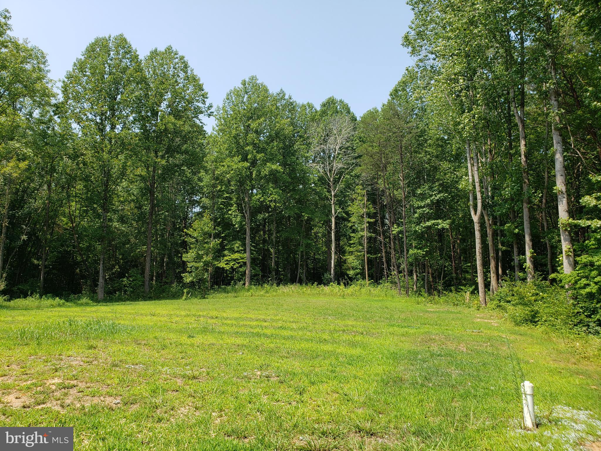 5012 Dickerson Road Partlow, VA 22534 - Photo 7 of 10 Back Yard