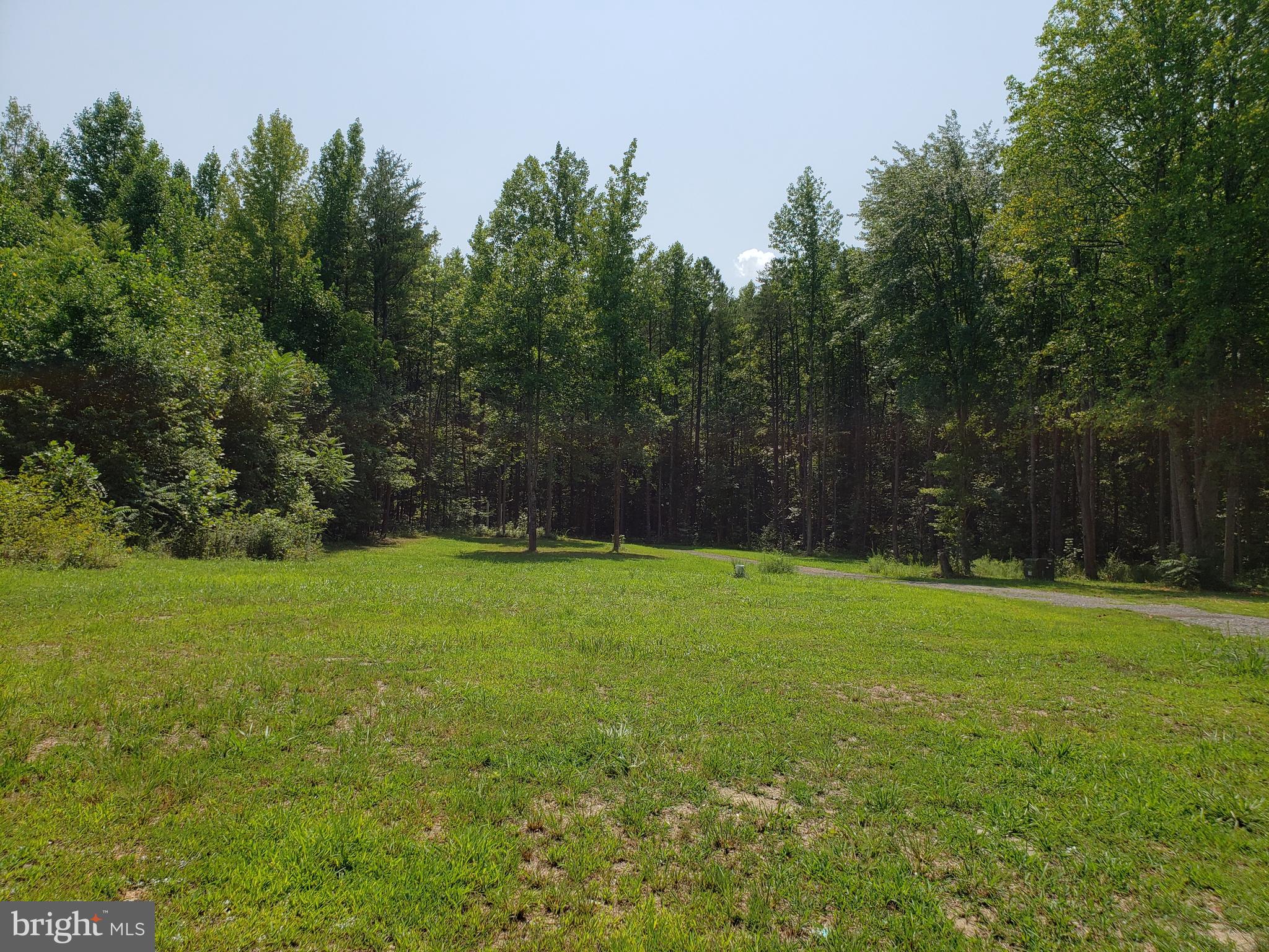 5012 Dickerson Road Partlow, VA 22534 - Photo 8 of 10 Front Yard