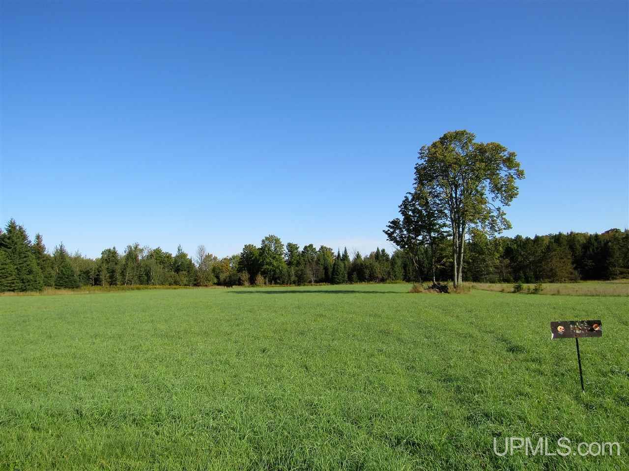 5226 Co Road Rock, MI 49880 - Photo 19 of 34