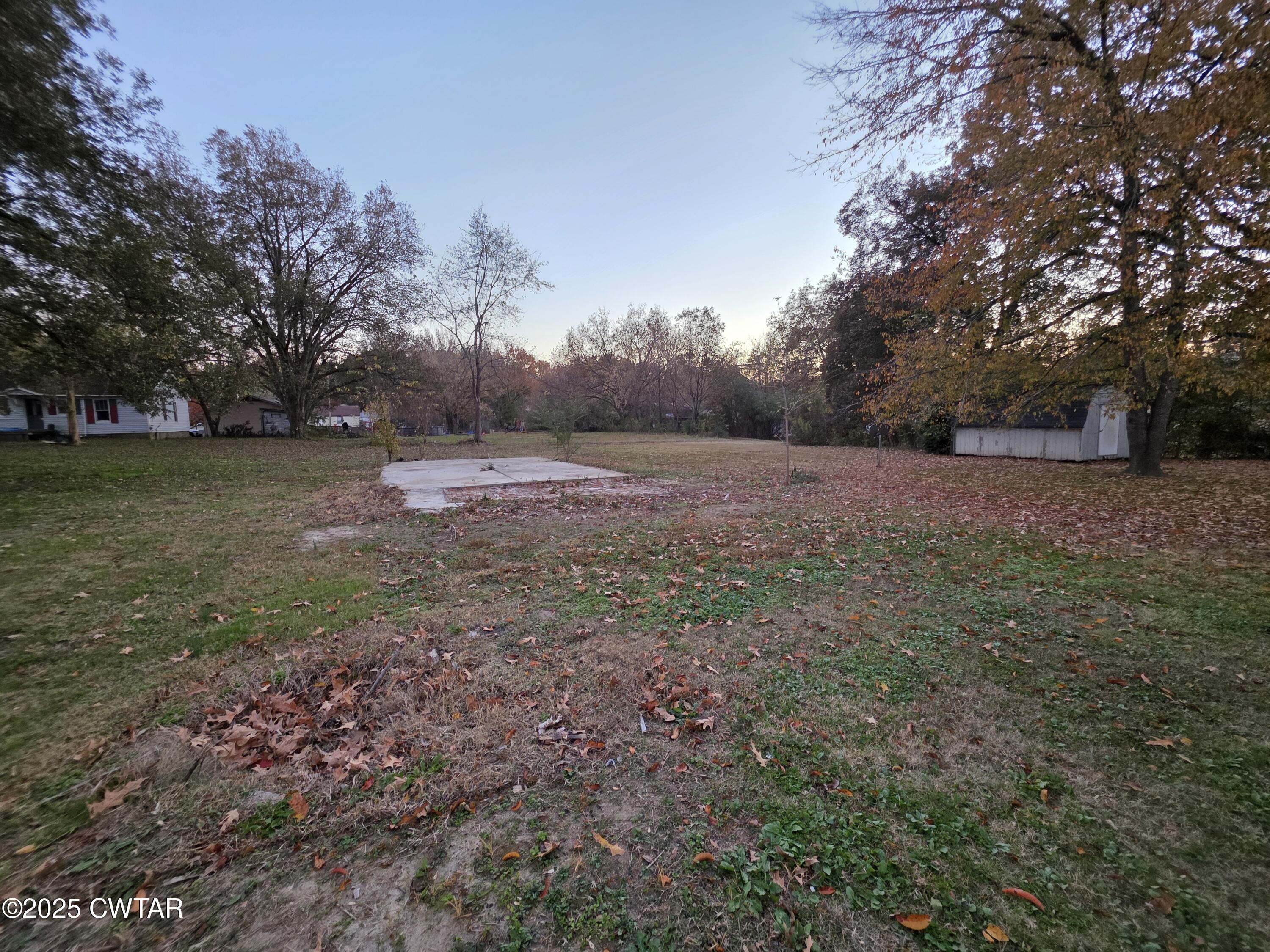 299 East Walnut Street Dyer, TN 38330 - Photo 13 of 41 a view of dirt yard with trees