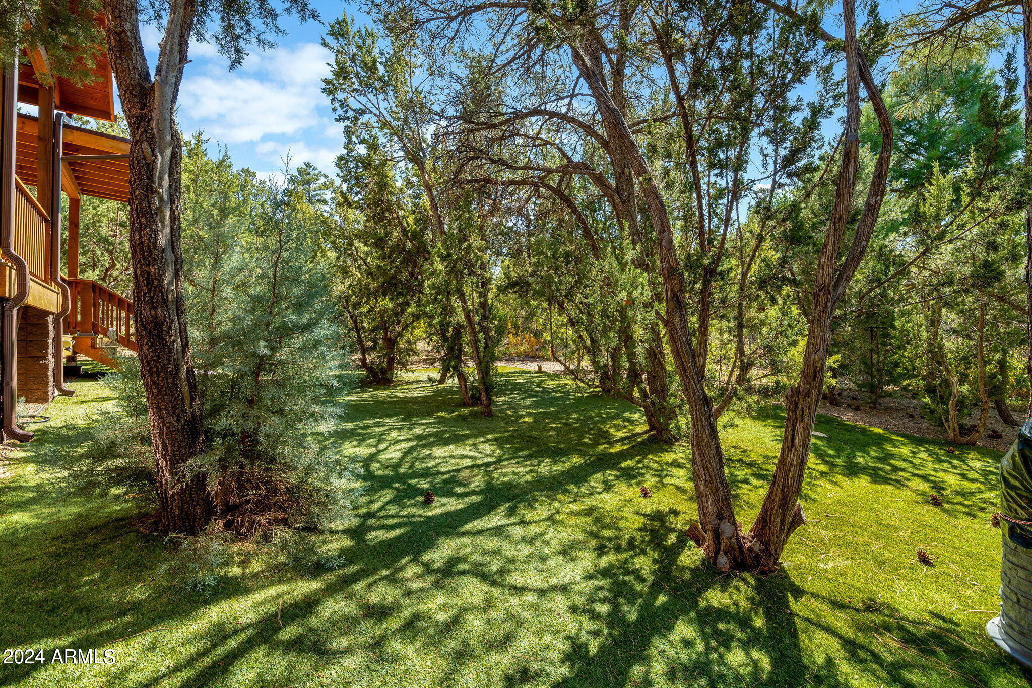 3314 Lodgepole Road Overgaard, AZ 85933 - Photo 34 of 49 3314LodgepoleRd-HeberOvergaard-AZ-34