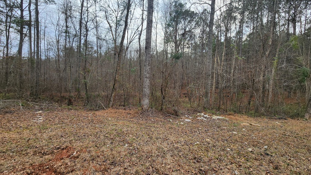 0 Monument Road West Point, GA 31833 - Photo 2 of 6 a view of backyard with trees