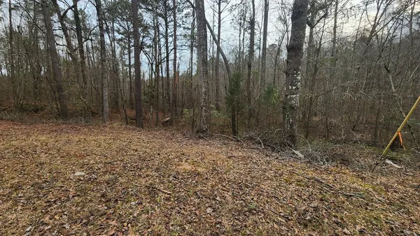 a view of backyard with green space