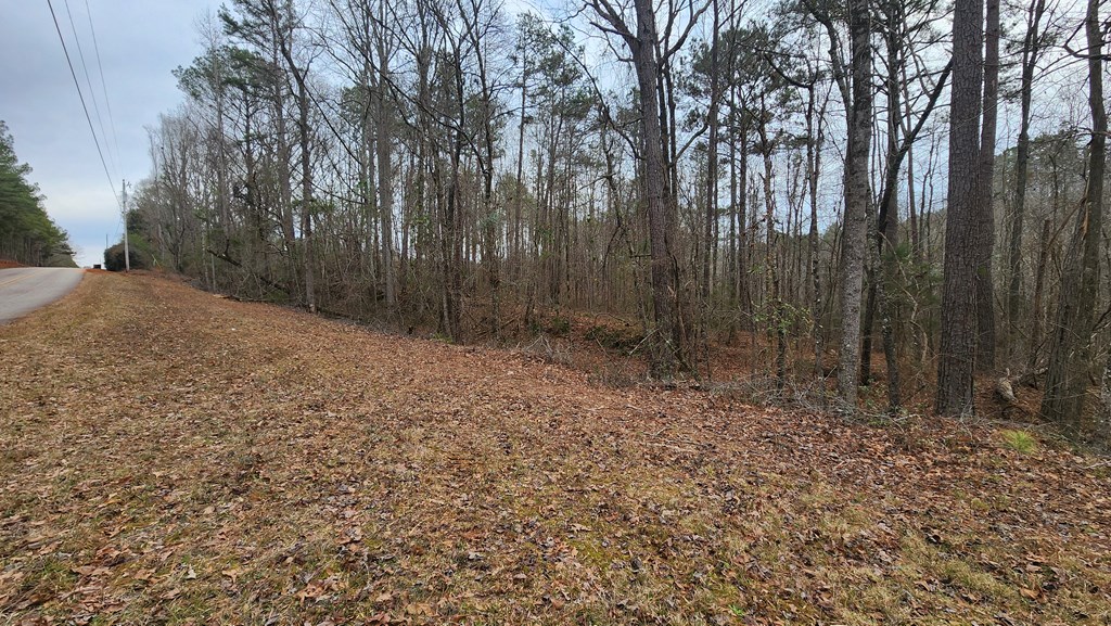 0 Monument Road West Point, GA 31833 - Photo 4 of 6 a view of backyard with green space