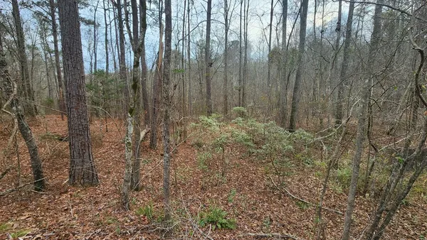 $75,000 | 0 Monument Road, West Point, GA 31833