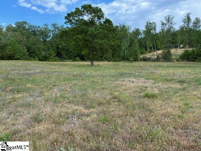 411 Dill Road Campobello, SC 29322 - Photo 12 of 18