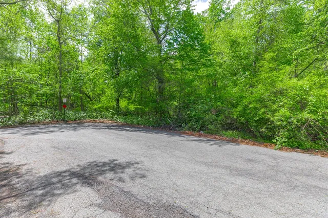 a view of a field with plants and trees