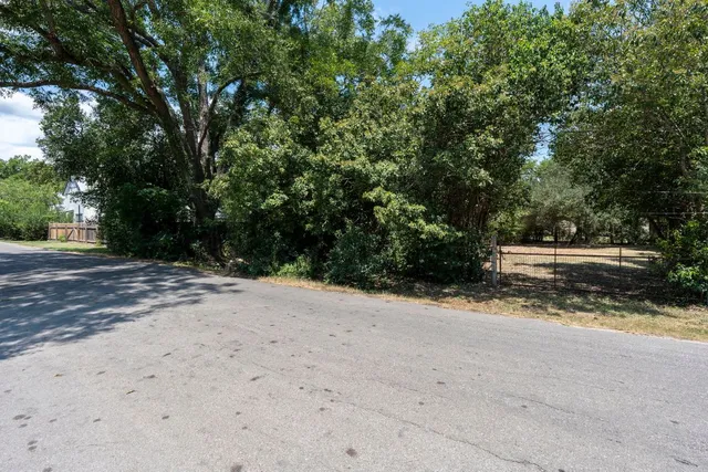 a view of a yard with plants and trees