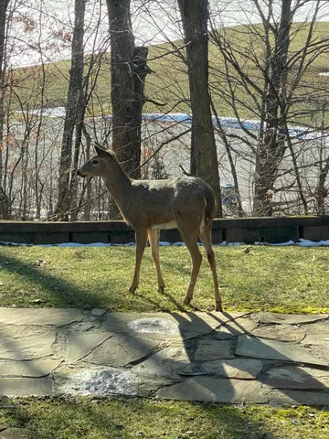 $1,273,000 | 273 Bridlewood Lane, Valparaiso, IN 46385