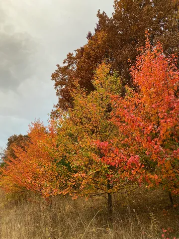 $1,273,000 | 273 Bridlewood Lane, Valparaiso, IN 46385