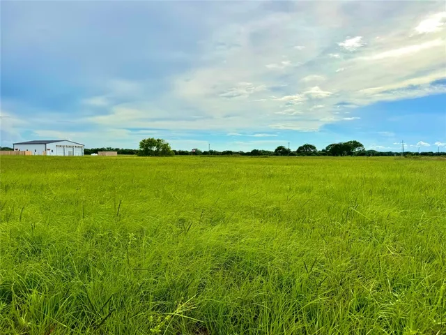a view of a bunch of plants