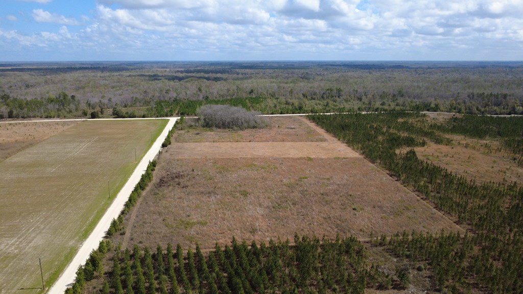 40 Davis Peacock Road Wewahitchka, FL 32449 - Photo 2 of 22