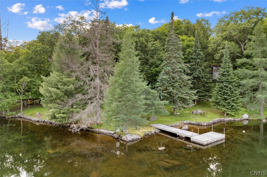 192 Hollywood Road Webb, NY 13420 - Photo 3 of 43