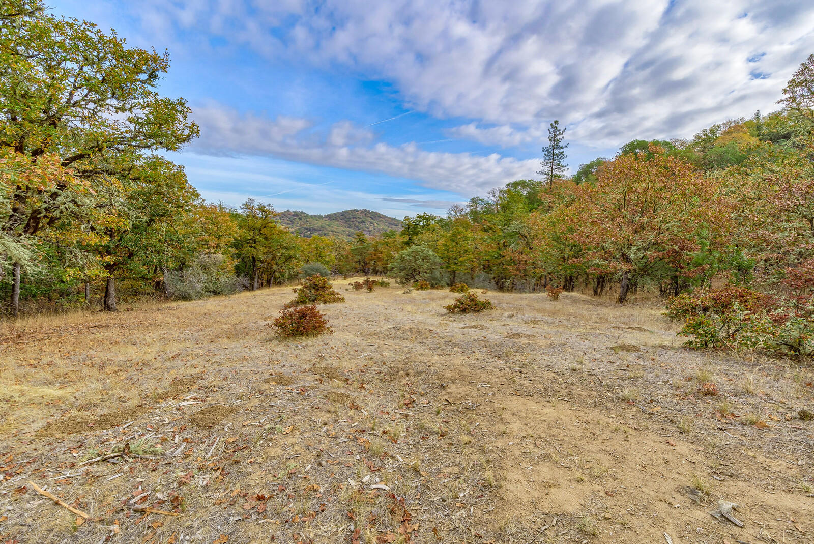 5535 Kane Creek Road Central Point, OR 97502 - Photo 74 of 78 71_KCR_72_mls