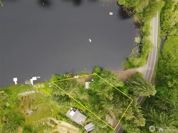 a view of a plant in a garden