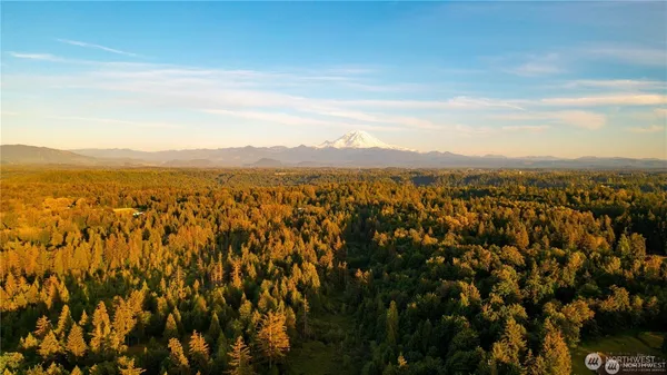 an aerial view of residential houses with outdoor space and trees