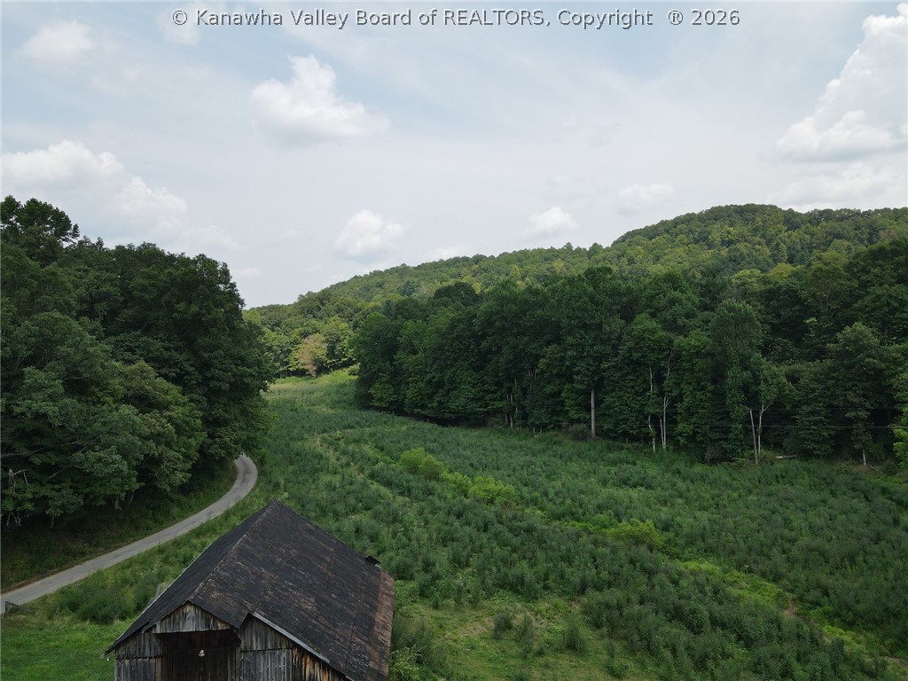 1162 Bear Run Reedy, WV 25270 - Photo 5 of 34 Gallery Image 5