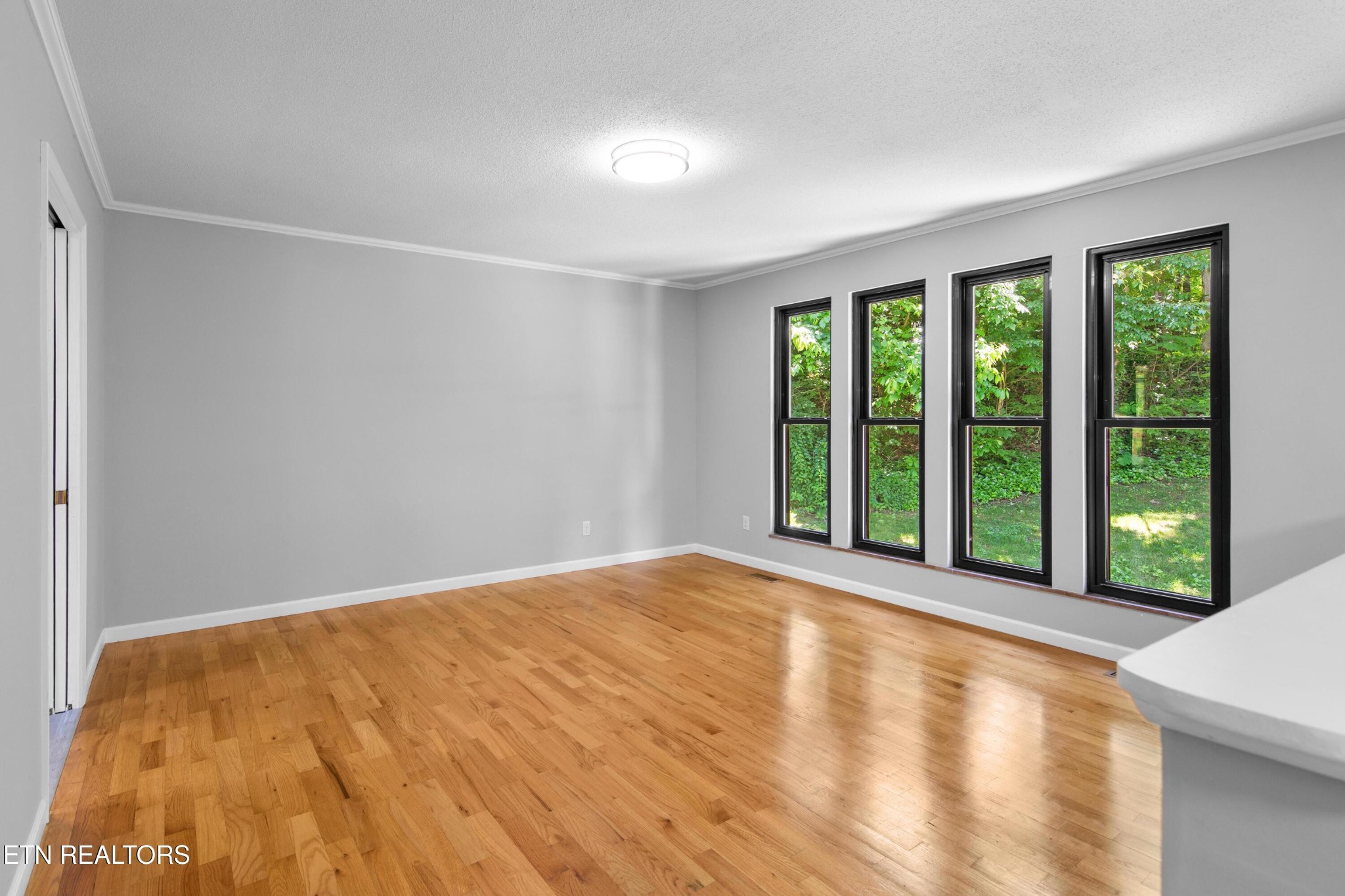 235 South Ridge Road Knoxville, TN 37920 - Photo 4 of 35