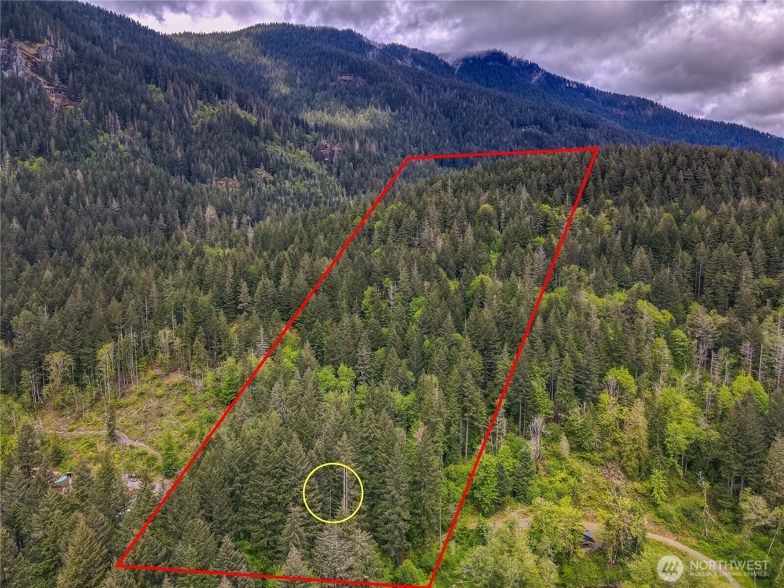 0 Carr Road Randle, WA 98377 - Photo 16 of 20