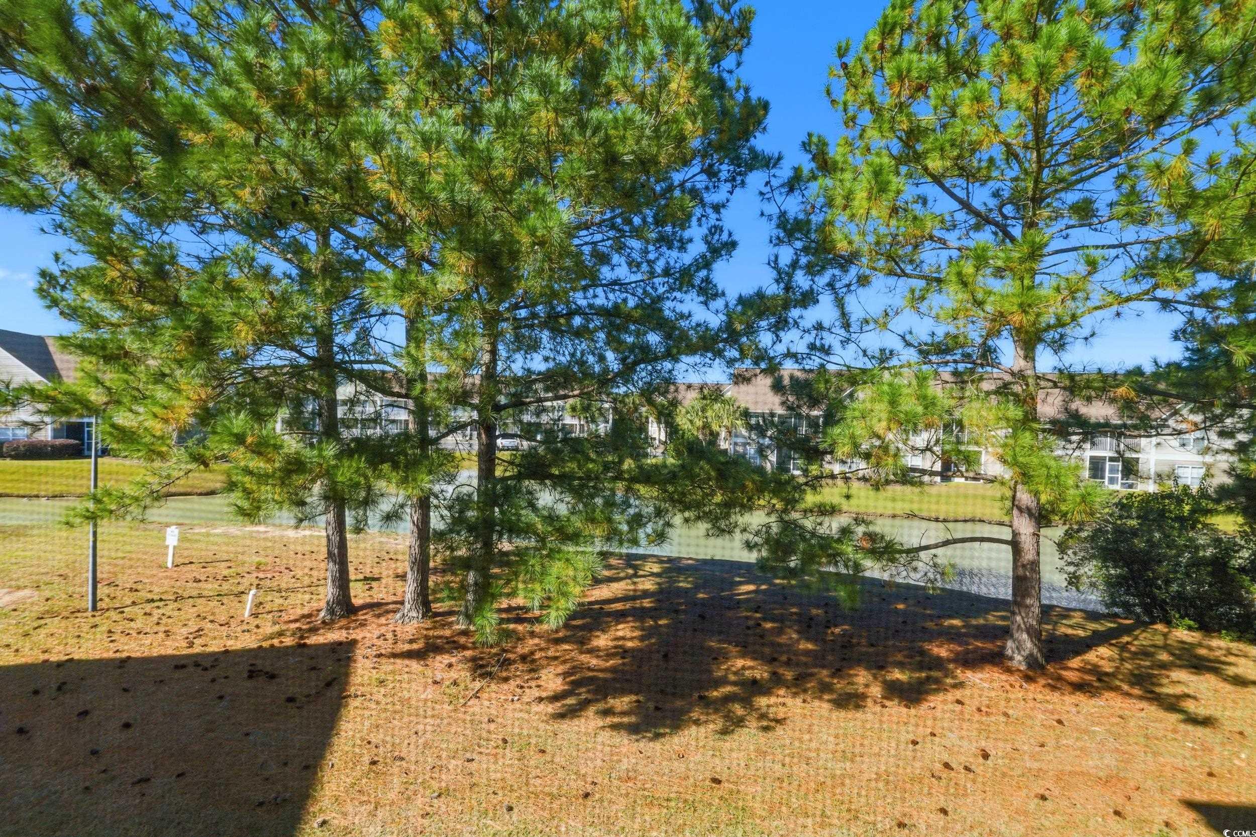 3979 Forsythia Court, Unit 201 Myrtle Beach, SC 29588 - Photo 3 of 30 View of yard