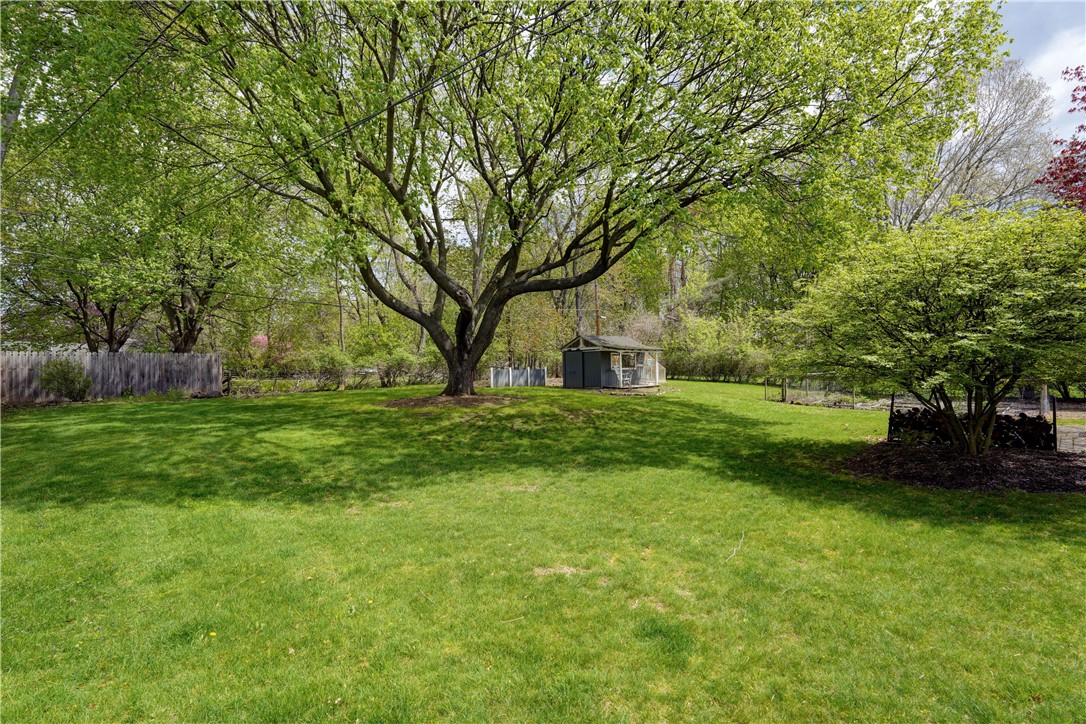 5662 Palmyra Road Pittsford, NY 14534 - Photo 41 of 44 Great climbing tree