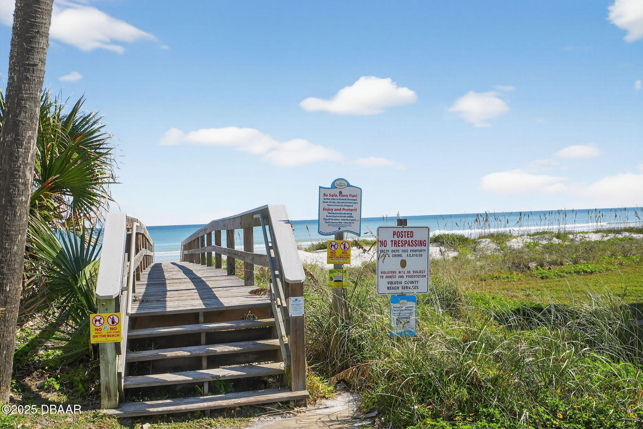 61 Beverly Hills Avenue Ponce Inlet, FL 32127 - Photo 5 of 53 6-web-or-mls-VCI03151