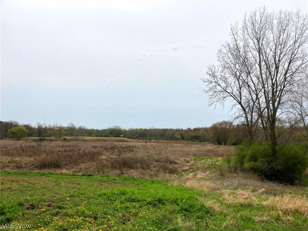 V/l Schocalog Road Akron, OH 44320 - Photo 4 of 7 Expansive open land featuring grass and trees