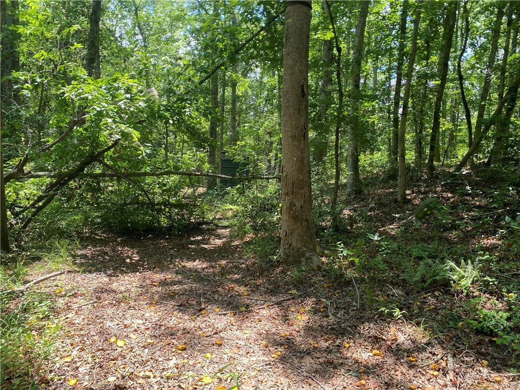 1622 Taylor Road Honea Path, SC 29654 - Photo 7 of 21