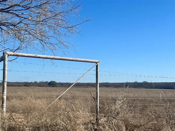 a view of a dry yard with trees