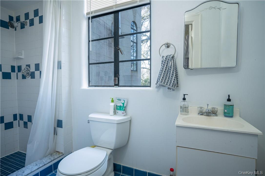 16 Lewis Road Irvington, NY 10533 - Photo 40 of 50 a bathroom with a toilet a sink and a mirror