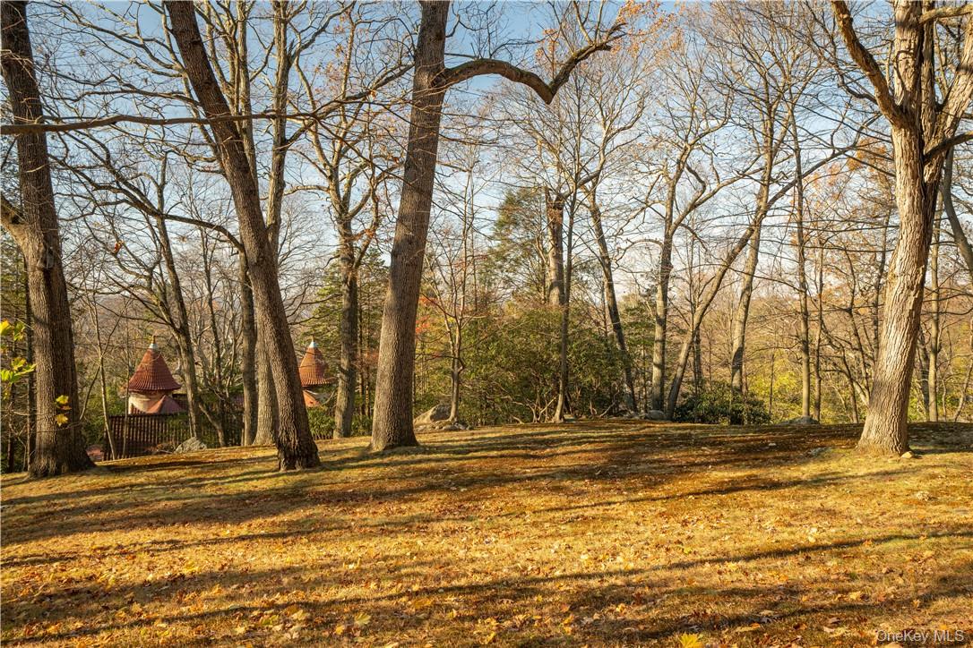 16 Lewis Road Irvington, NY 10533 - Photo 45 of 50 a view of yard and trees