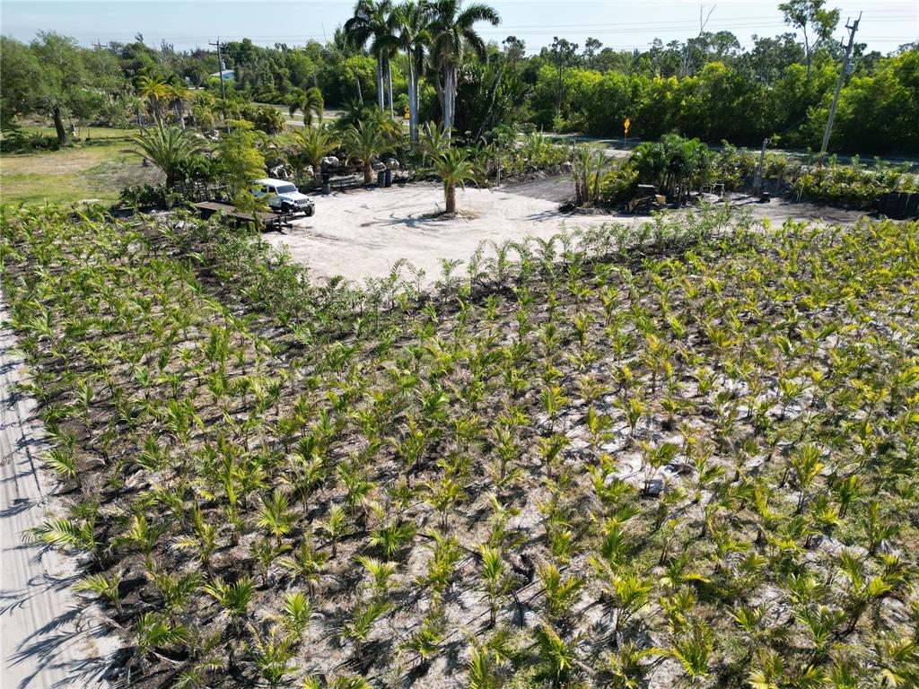 11851 Stringfellow Road Bokeelia, FL 33922 - Photo 5 of 37 Gallery Image 5