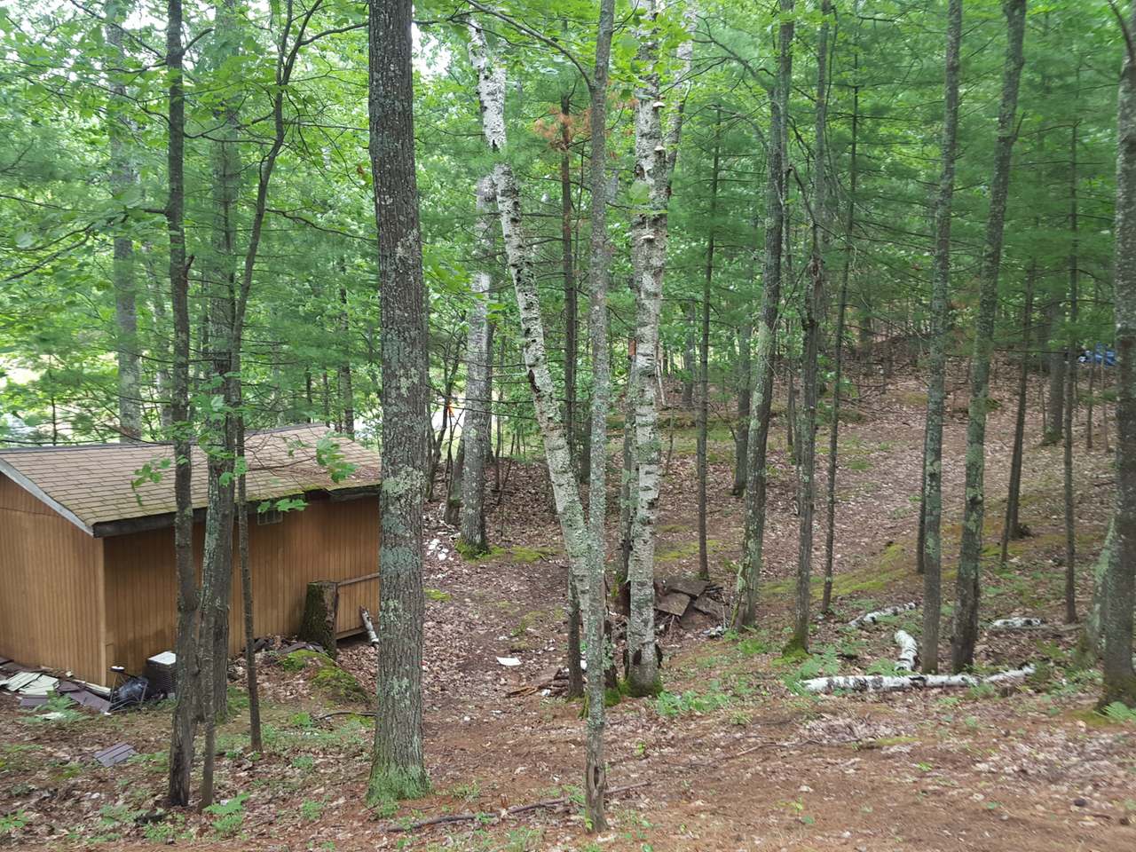 On Birch Road Land O'Lakes, WI 54540 - Photo 10 of 20 Gallery Image 10