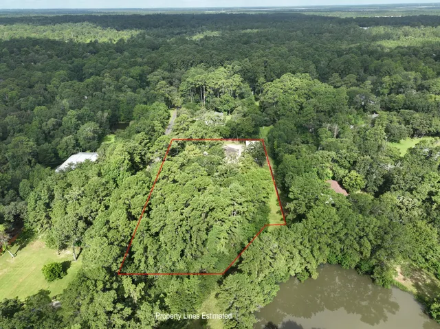 a view of a lush green forest with trees and houses