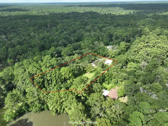 a view of a lush green forest with beach and green space