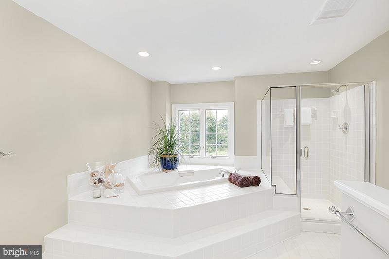20177 Colchester Road Purcellville, VA 20132 - Photo 20 of 30 Bath (Master)