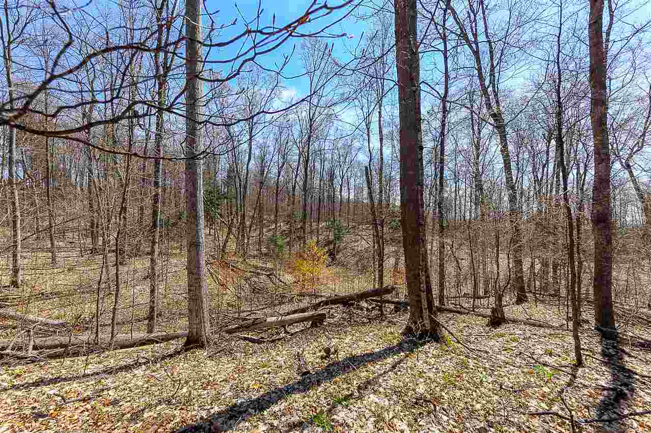 1794 East Old Mountain Road Cedar, MI 49621 - Photo 42 of 43 1860764-41.JPG