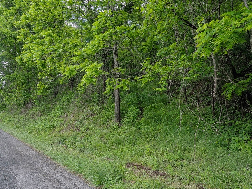 476 Stoots Mountain Road, Unit 26 27 Austinville, VA 24312 - Photo 4 of 9 Gallery Image 4