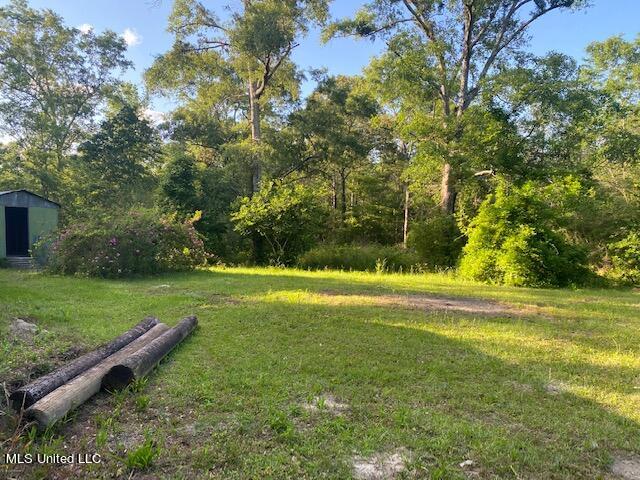 17260 Lakeview Road Saucier, MS 39574 - Photo 15 of 15 IMG_4842