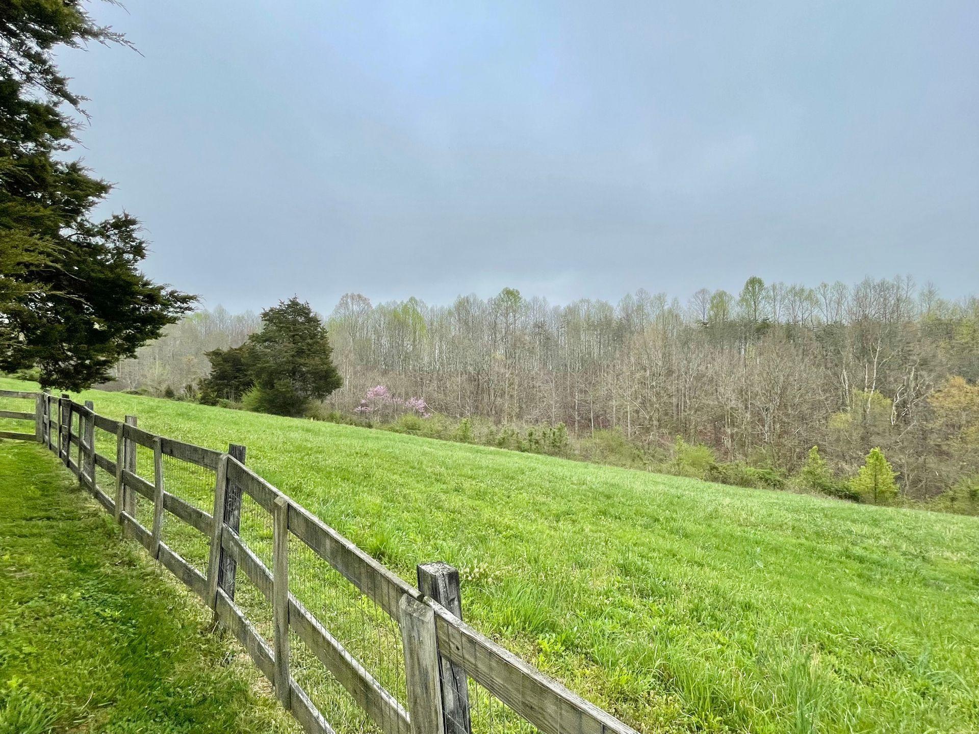 5064 Doe Run Road Rocky Mount, VA 24151 - Photo 101 of 143 Land views